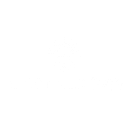 logo de reconnexsons